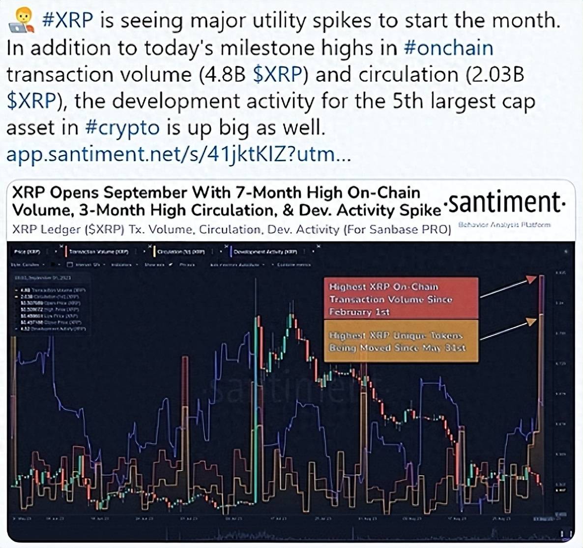 XRP在醫療保健領域的崛起，即將成為主流的最新消息