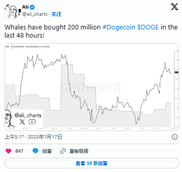 DOGE巨鯨拋售13.2億代幣背后的真相深度解析