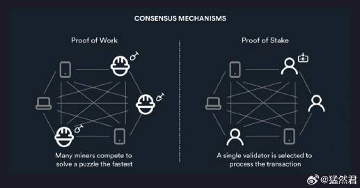 Hedera Hashgraph（HBAR），Hedera 網絡——超越傳統區塊鏈的革新力量