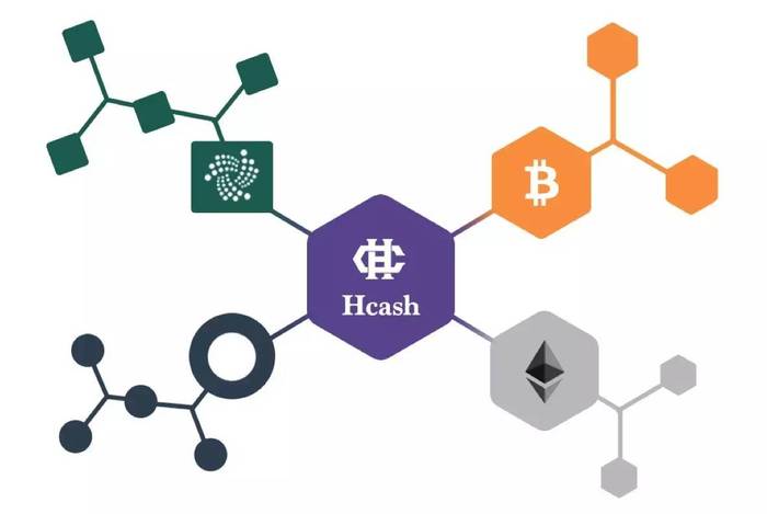 Hedera Hashgraph（HBAR），Hedera 網絡——超越傳統區塊鏈的革新力量