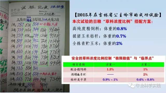 科羅拉多州牛群上鏈與美國政務(wù)效率的提升，一個不可思議的300%增長