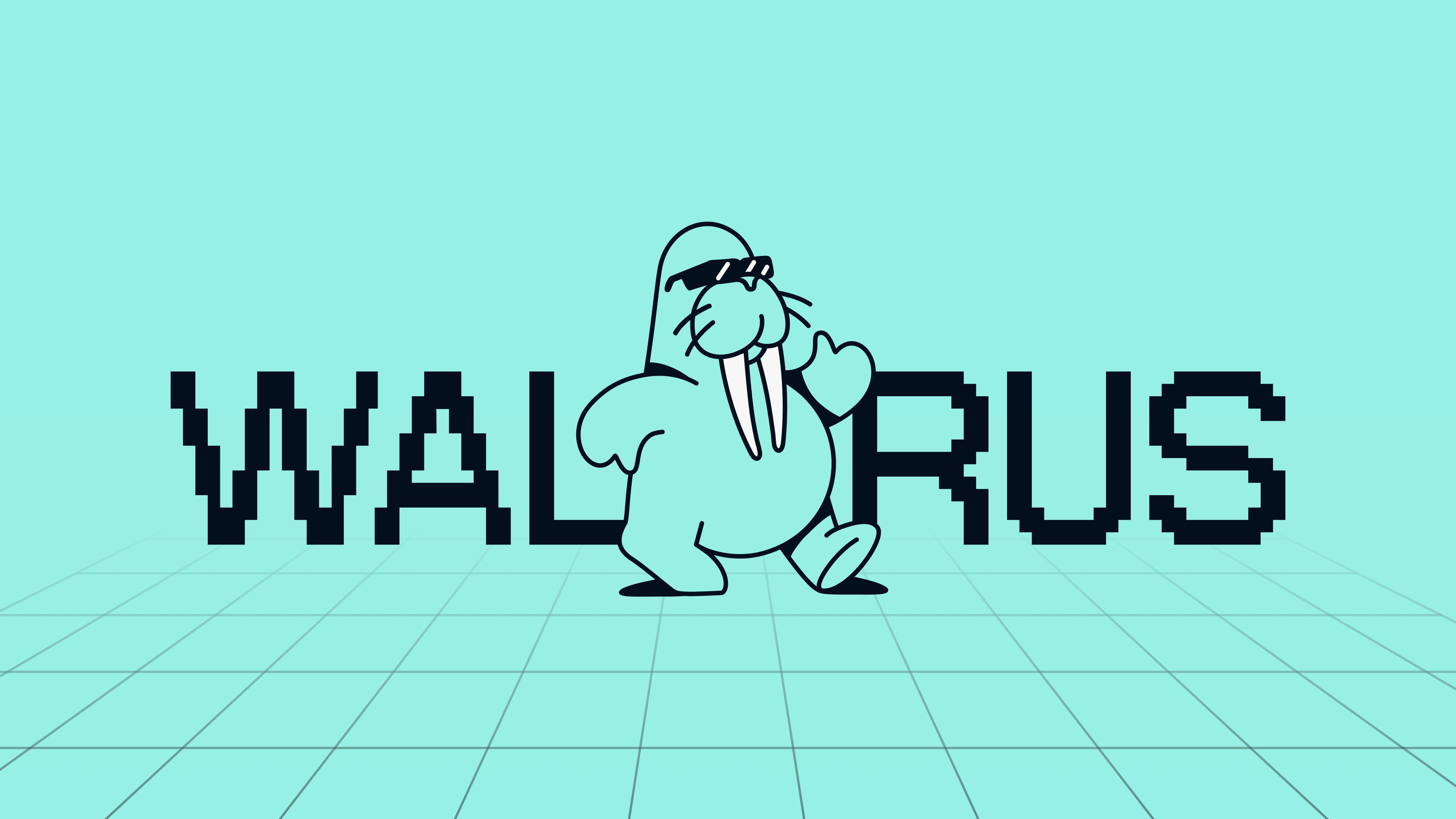 錯過Walrus空投？這五個Sui生態項目不容錯過！