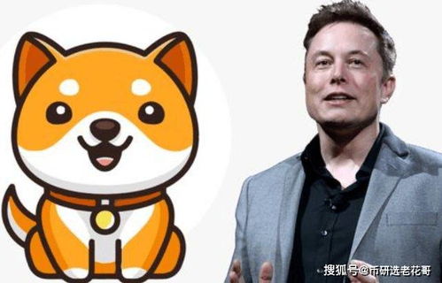 馬斯克否認DOGE與官方掛鉤，狗狗幣未來走向揭秘。
