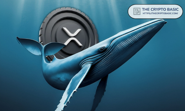 Ripple和XRP對鯨魚需求震驚交易員，下一步是什么