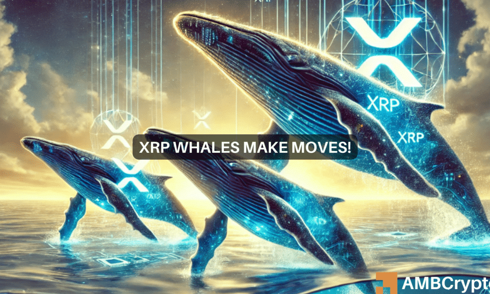 Ripple和XRP對鯨魚需求震驚交易員，下一步是什么