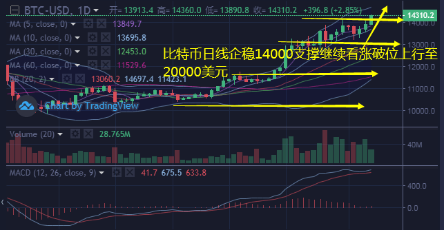 震蕩市場中比特幣喇叭形態(tài)的風險管理策略制定
