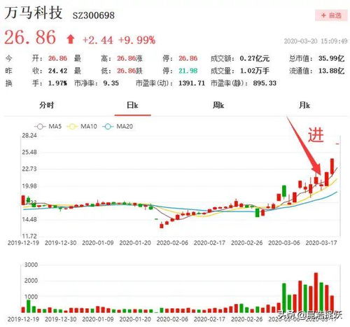 Meme幣過去一年市場數據復盤，金狗的出現與捕捉者的數量分析
