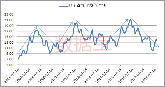 PENGU價格飆升20%，在NFT市場繁榮中觸及數月高點