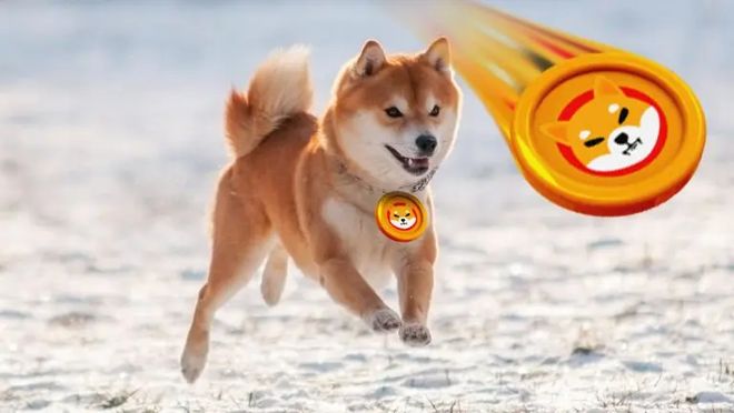 隨著鯨魚活動枯竭，柴犬價格接近大幅波動