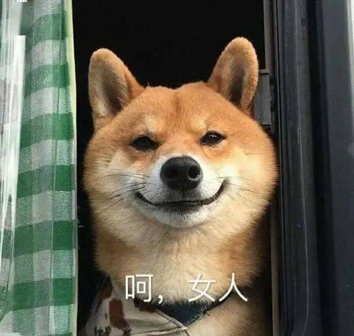 隨著鯨魚活動枯竭，柴犬價格接近大幅波動